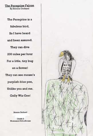 Kids Stuff at the Desert Museum